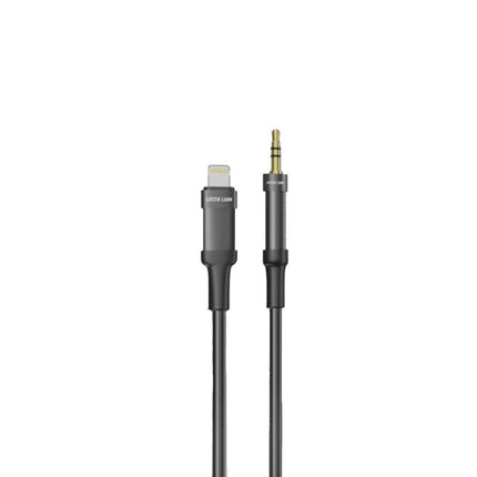 Lightning to AUX Cable