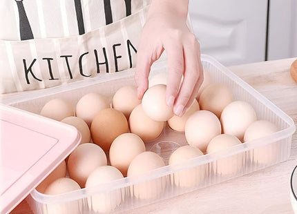 24 grid egg box