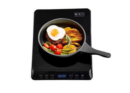 DSP 2000W Induction Cooker