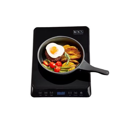 DSP 2000W Induction Cooker