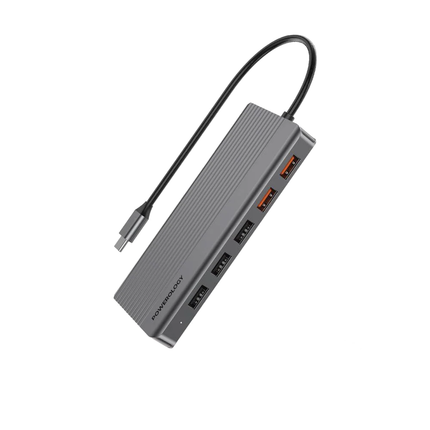 Powerology 12 in 1 - Hdmi & DP 4K Usb-C Hub