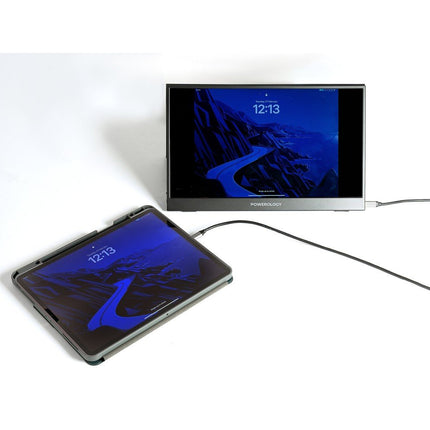 Portable display