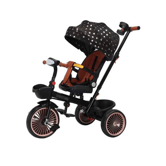 4 in 1 Multi-functional Baby Tricycle - Xpressouq