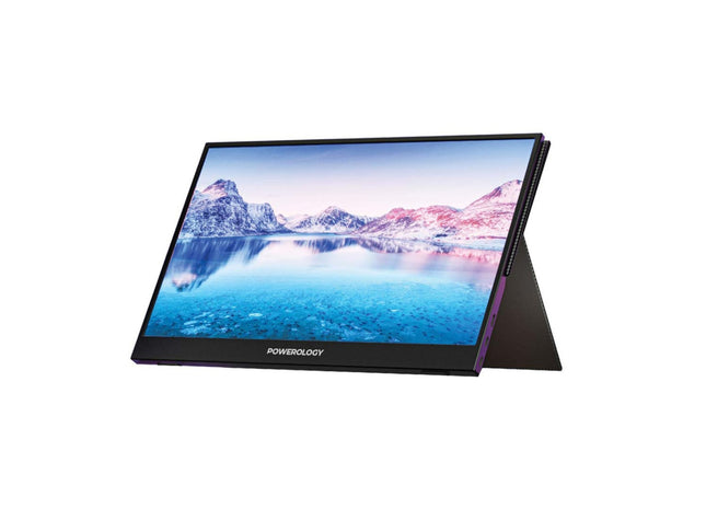 Full HD 15.6 inch monitor