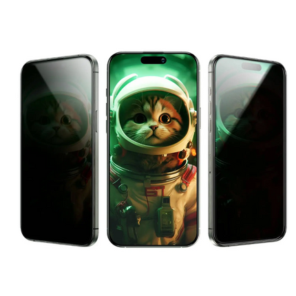 Green Lion Picasso 3D Privacy Glass With Alignment Tray iPhone 16 Plus - Black