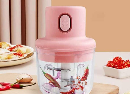 Intelligent Electric Garlic Mini Chopper