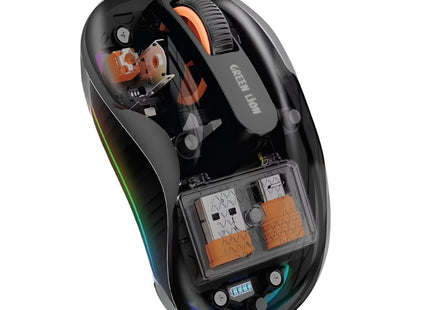 Wireless Turtle Mouse