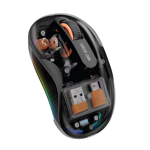 Wireless Turtle Mouse
