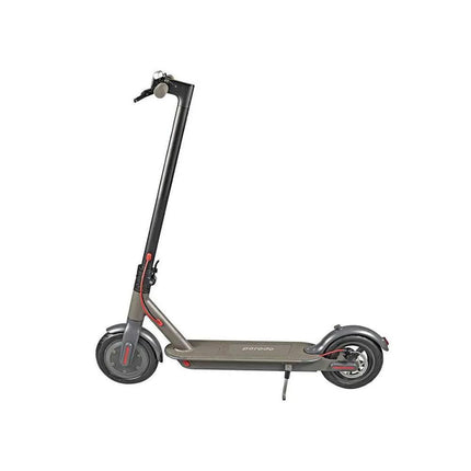 Electric Scooter 500W
