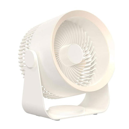 Wall mounted fan